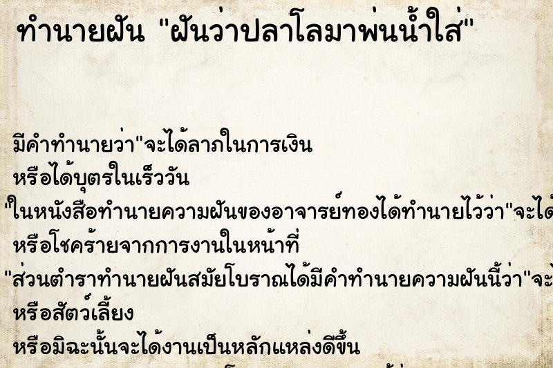 ทำนายฝัน ฝันว่าปลาโลมาพ่นน้ำใส่ ทำนายฝัน ฝันว่าปลาโลมาพ่นน้ำใส่