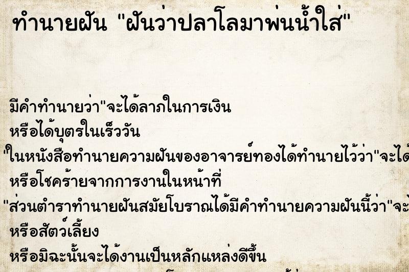 ทำนายฝัน ฝันว่าปลาโลมาพ่นน้ำใส่ ตำราโบราณ แม่นที่สุดในโลก