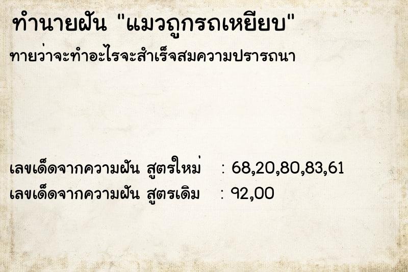 ทำนายฝันแมวถูกรถเหยียบ ทำนายฝันทำนายฝันแมวถูกรถเหยียบ
