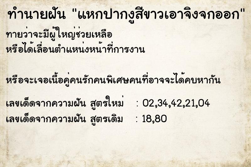 ทำนายฝันแหกปากงูสีขาวเอาจิงจกออก ทำนายฝันทำนายฝันแหกปากงูสีขาวเอาจิงจกออก