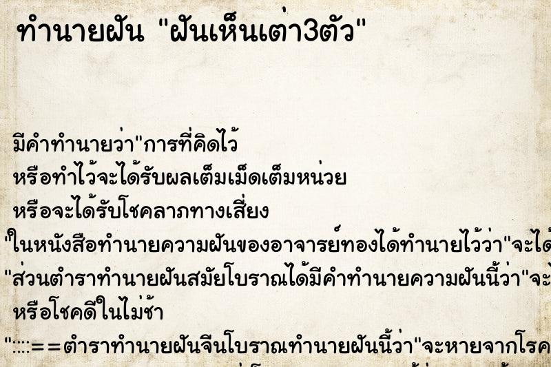 ทำนายฝัน ฝันเห็นเต่า3ตัว ทำนายฝัน ฝันเห็นเต่า3ตัว