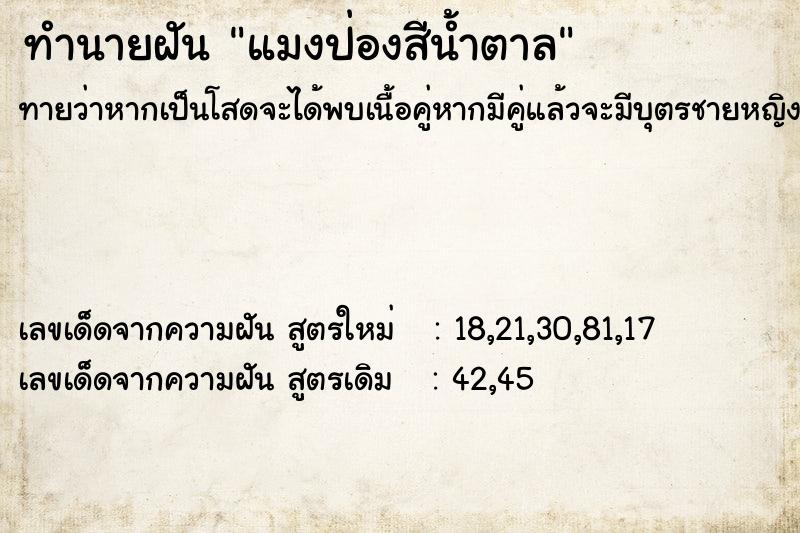 ทำนายฝัน แมงป่องสีน้ำตาล ทำนายฝัน แมงป่องสีน้ำตาล