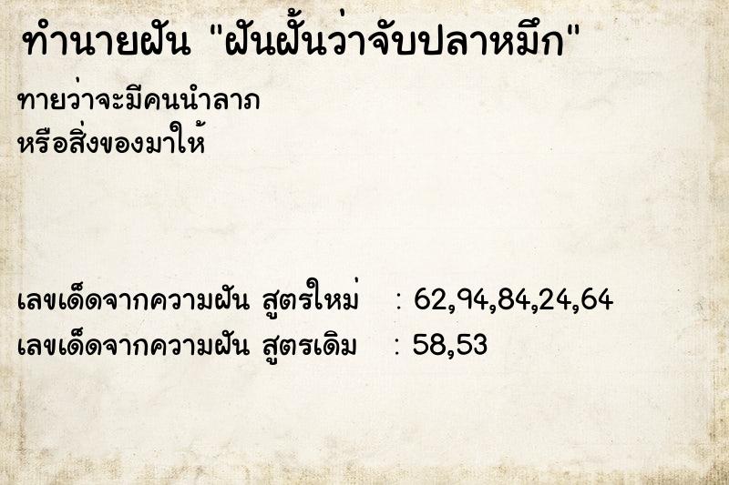 ทำนายฝันฝันฝั้นว่าจับปลาหมึก ทำนายฝันทำนายฝันฝันฝั้นว่าจับปลาหมึก