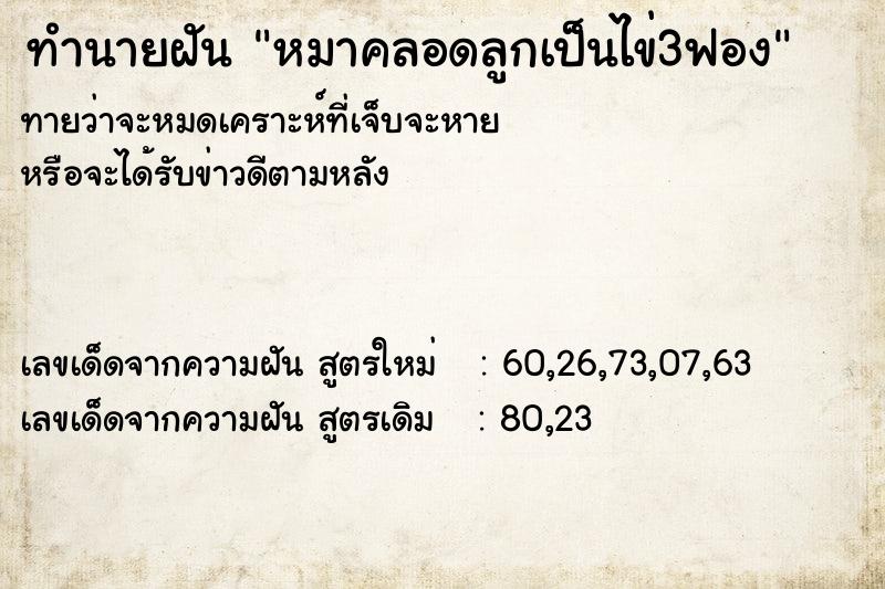 ทำนายฝันหมาคลอดลูกเป็นไข่3ฟอง ทำนายฝันทำนายฝันหมาคลอดลูกเป็นไข่3ฟอง