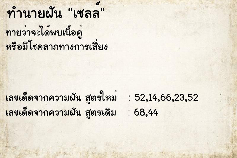ทำนายฝันเซลล์ ทำนายฝันทำนายฝันเซลล์