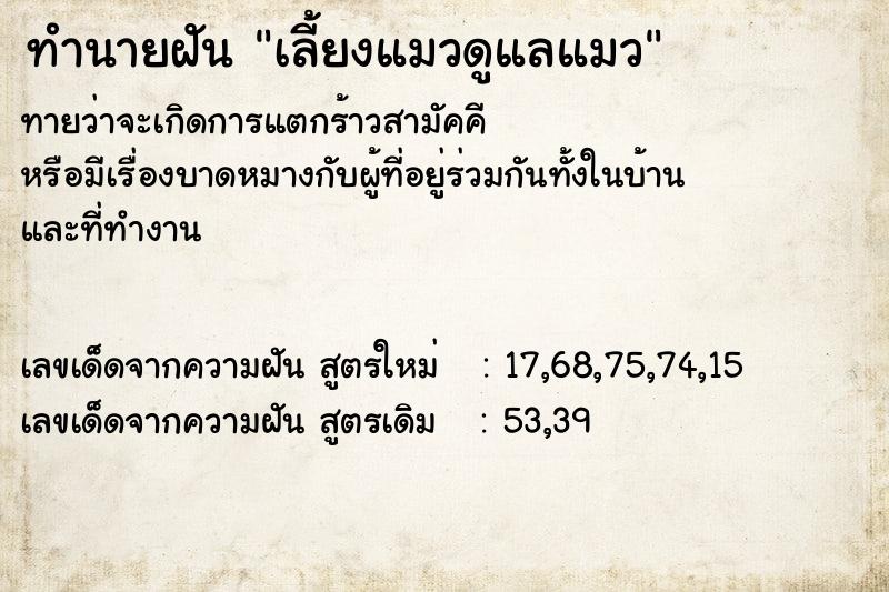 ทำนายฝันเลี้ยงแมวดูแลแมว ทำนายฝันทำนายฝันเลี้ยงแมวดูแลแมว