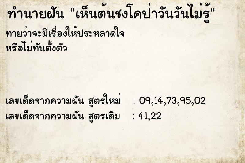 ทำนายฝันเห็นต้นชงโคป่าวันวันไม่รู้ ทำนายฝันทำนายฝันเห็นต้นชงโคป่าวันวันไม่รู้