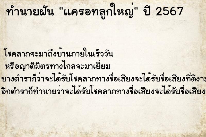 ทำนายฝัน แครอทลูกใหญ่ ทำนายฝัน แครอทลูกใหญ่