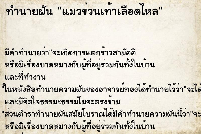 ทำนายฝันแมวข่วนเท้าเลือดไหล ทำนายฝันทำนายฝันแมวข่วนเท้าเลือดไหล