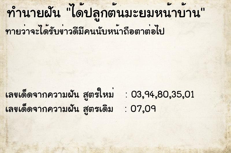 ทำนายฝัน ได้ปลูกต้นมะยมหน้าบ้าน ทำนายฝัน ได้ปลูกต้นมะยมหน้าบ้าน