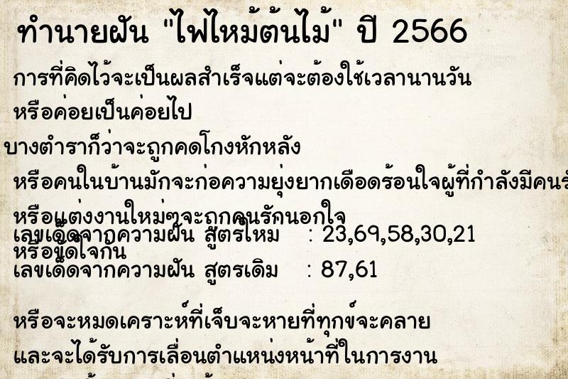ทำนายฝัน ไฟไหม้ต้นไม้