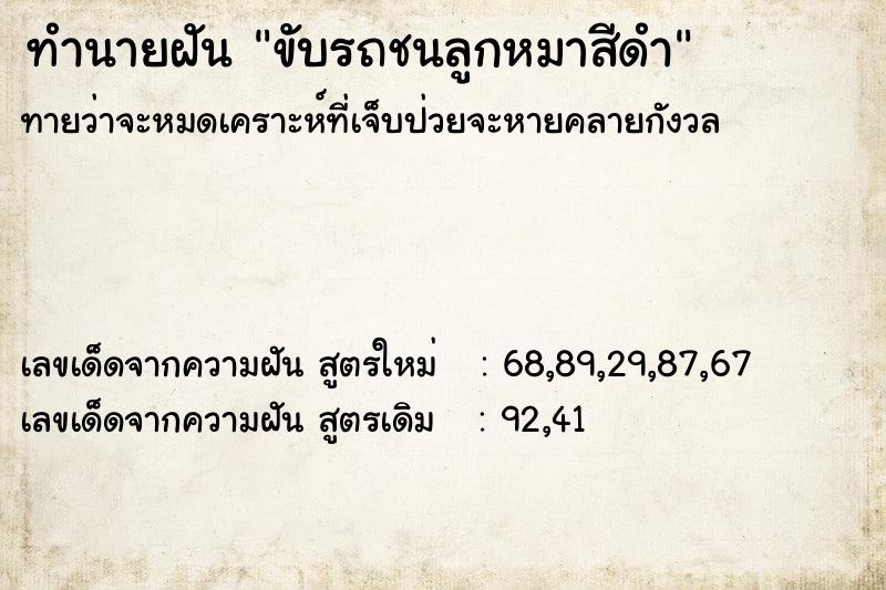 ทำนายฝัน ขับรถชนลูกหมาสีดำ ทำนายฝัน ขับรถชนลูกหมาสีดำ