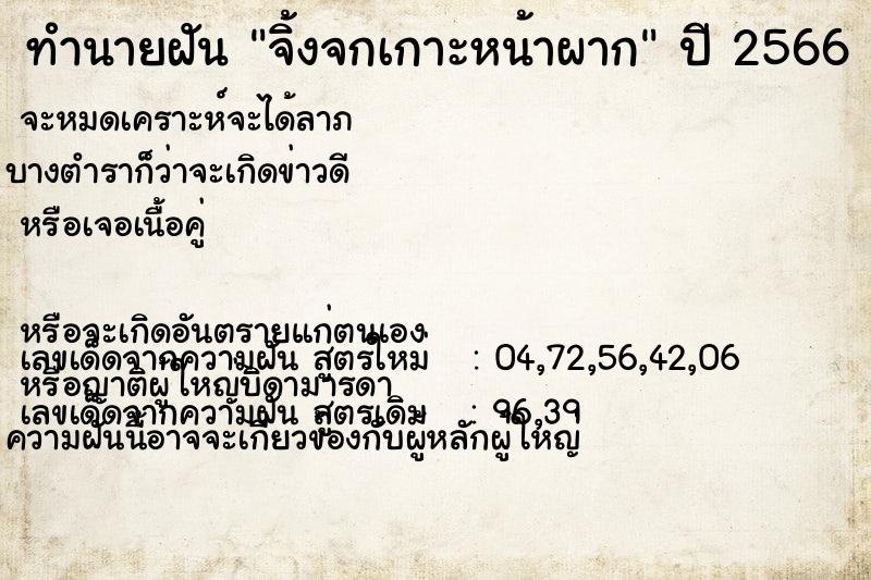 ทำนายฝันจิ้งจกเกาะหน้าผาก ทำนายฝันทำนายฝันจิ้งจกเกาะหน้าผาก