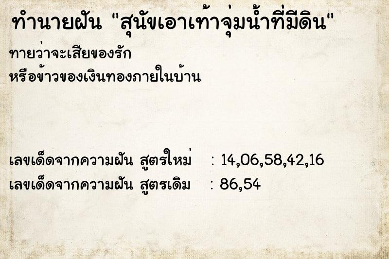 ทำนายฝันสุนัขเอาเท้าจุ่มน้ำที่มีดิน ทำนายฝันทำนายฝันสุนัขเอาเท้าจุ่มน้ำที่มีดิน