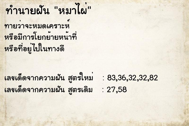 ทำนายฝัน หมาไผ่ ทำนายฝัน หมาไผ่