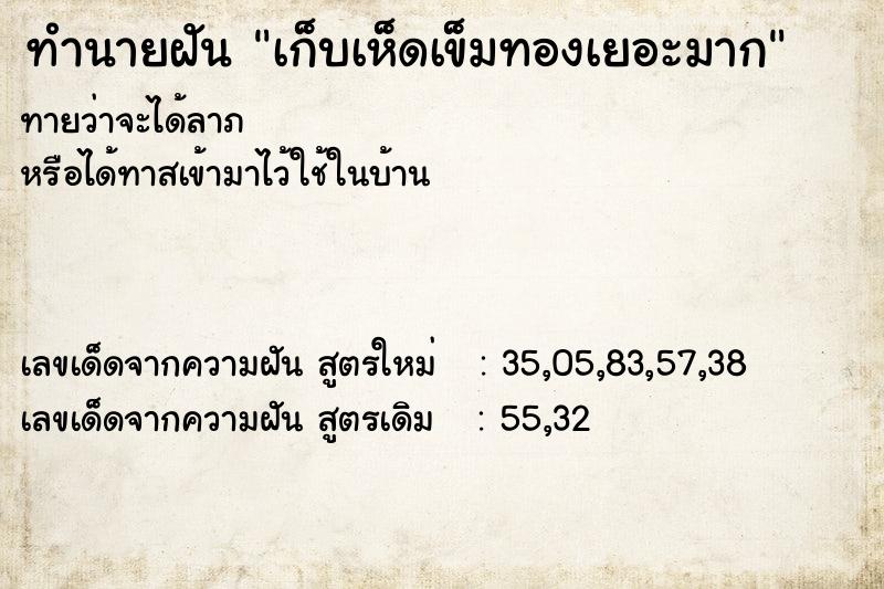 ทำนายฝัน เก็บเห็ดเข็มทองเยอะมาก ทำนายฝัน เก็บเห็ดเข็มทองเยอะมาก