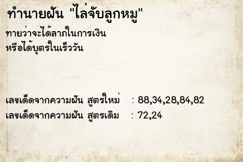 ทำนายฝันไล่จับลูกหมู ทำนายฝันทำนายฝันไล่จับลูกหมู