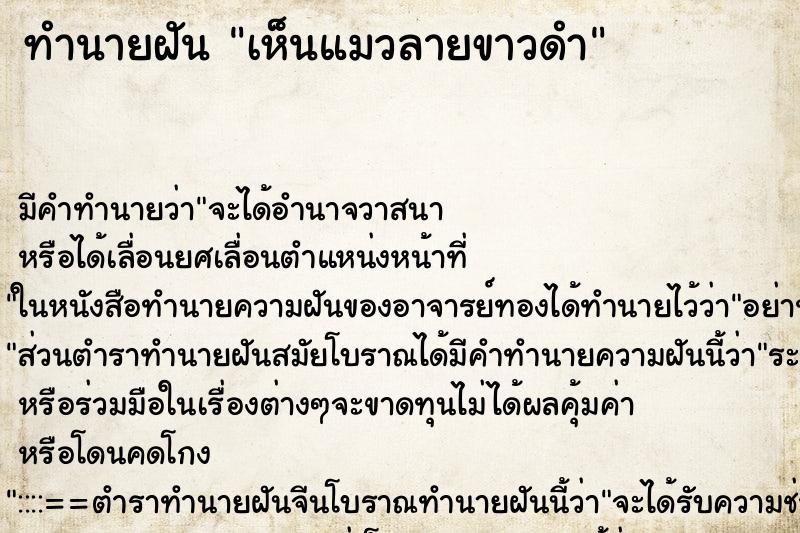 ทำนายฝันเห็นแมวลายขาวดำ ทำนายฝันทำนายฝันเห็นแมวลายขาวดำ