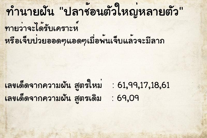 ทำนายฝันทำนายฝันปลาช้อนตัวใหญ่หลายตัว