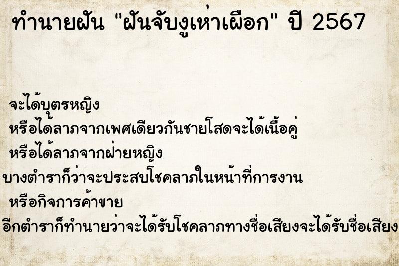 ทำนายฝัน ฝันจับงูเห่าเผือก ทำนายฝัน ฝันจับงูเห่าเผือก