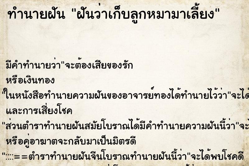 ทำนายฝันฝันว่าเก็บลูกหมามาเลี้ยง ทำนายฝันทำนายฝันฝันว่าเก็บลูกหมามาเลี้ยง