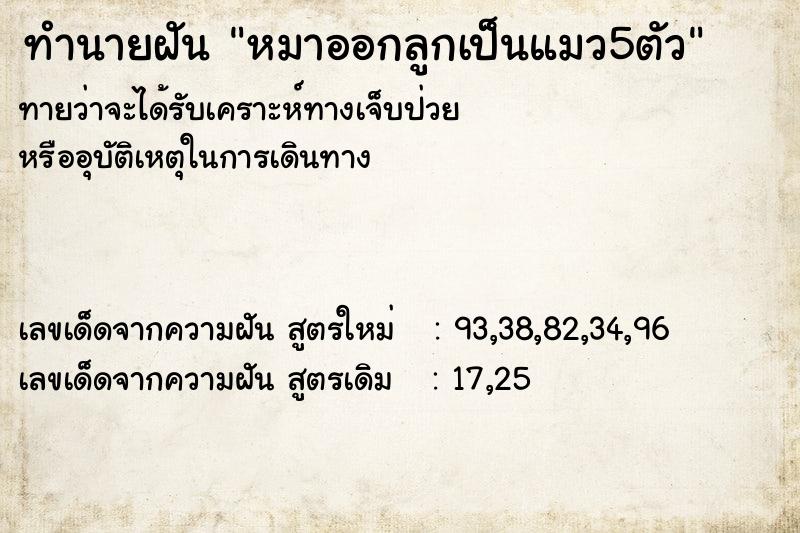 ทำนายฝัน หมาออกลูกเป็นแมว5ตัว