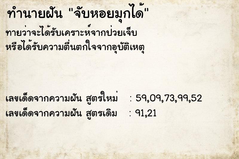 ทำนายฝันทำนายฝันจับหอยมุกได้