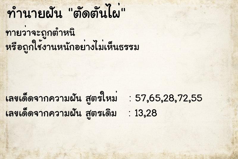 ทำนายฝันทำนายฝันตัดตันไผ่