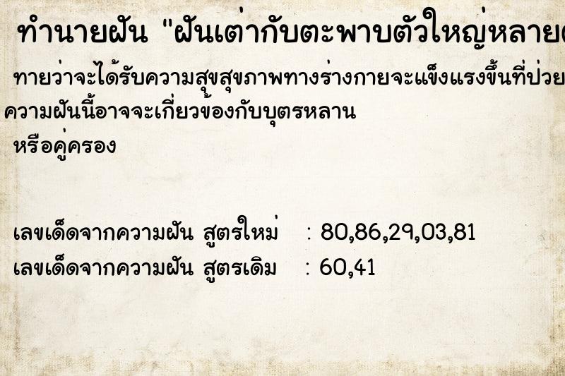 ทำนายฝันทำนายฝันฝันเต่ากับตะพาบตัวใหญ่หลายตัว