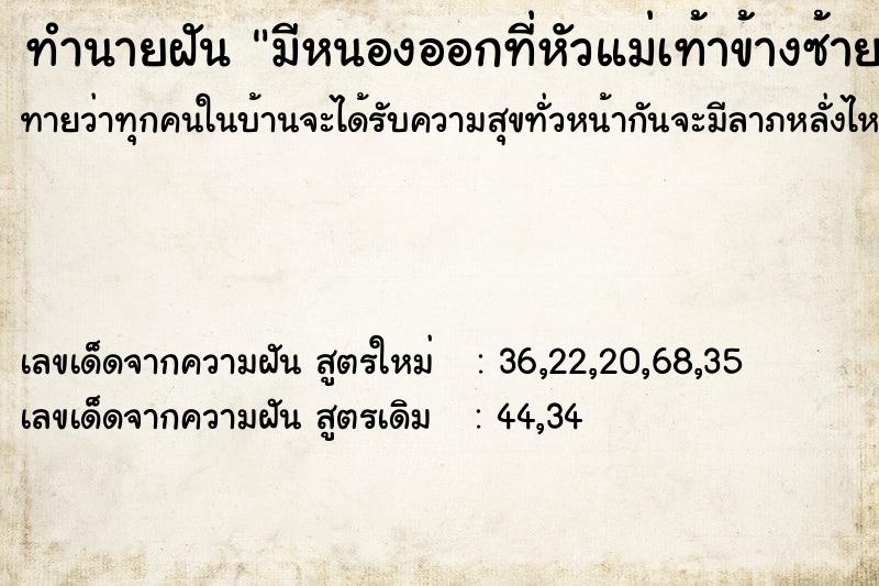 ทำนายฝันทำนายฝันมีหนองออกที่หัวแม่เท้าข้างซ้าย