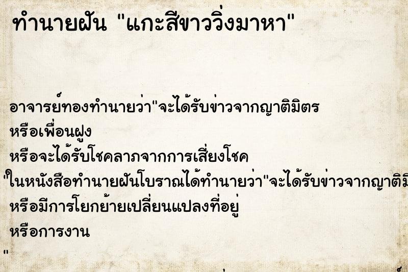 ทำนายฝัน แกะสีขาววิ่งมาหา ทำนายฝัน แกะสีขาววิ่งมาหา