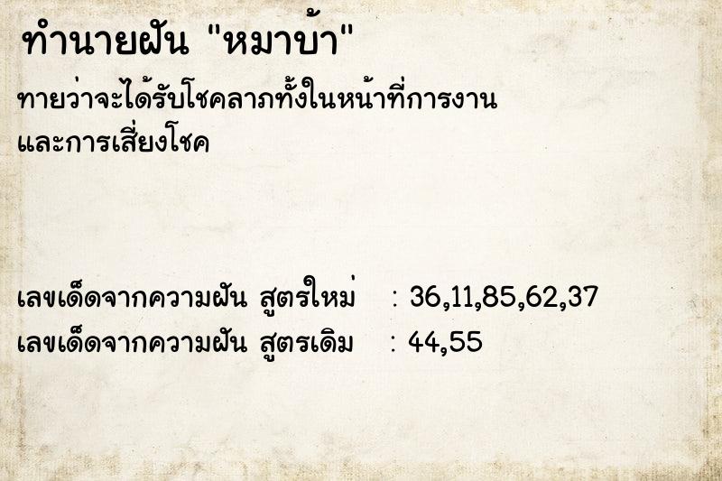 ทำนายฝัน หมาบ้า