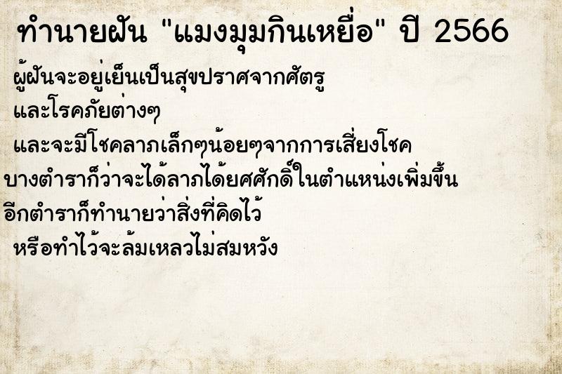 ทำนายฝัน แมงมุมกินเหยื่อ ทำนายฝัน แมงมุมกินเหยื่อ