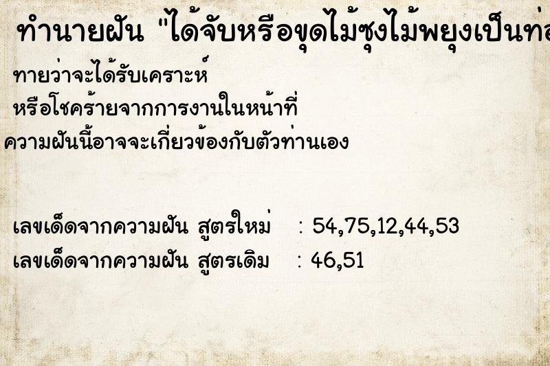 ทำนายฝันทำนายฝันได้จับหรือขุดไม้ซุงไม้พยุงเป็นท่อน