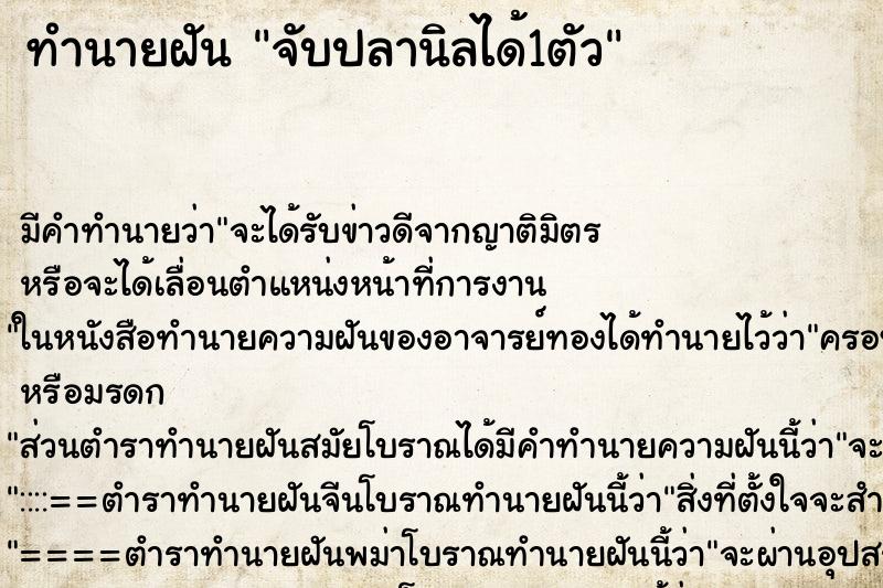 ทำนายฝันจับปลานิลได้1ตัว ทำนายฝันทำนายฝันจับปลานิลได้1ตัว