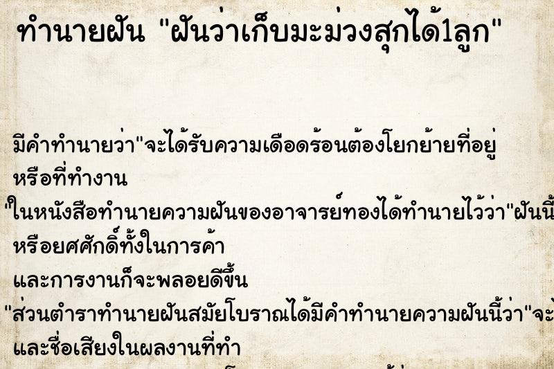 ทำนายฝัน ฝันว่าเก็บมะม่วงสุกได้1ลูก ทำนายฝัน ฝันว่าเก็บมะม่วงสุกได้1ลูก