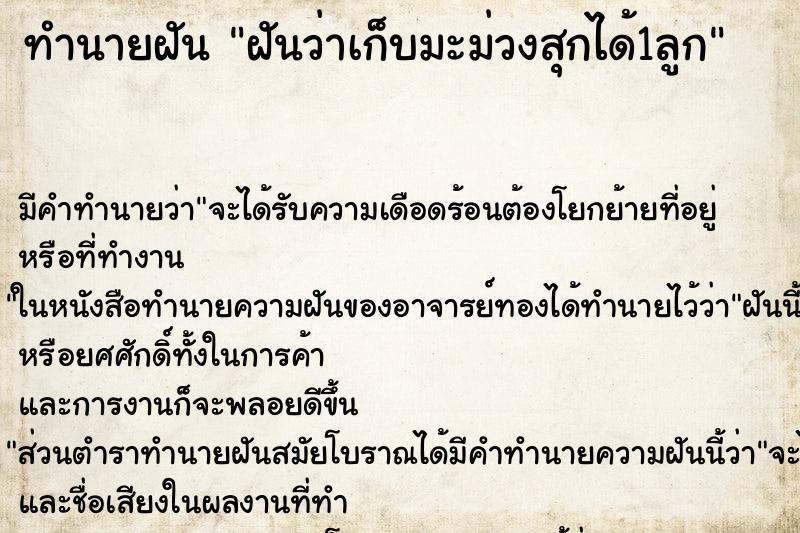 ทำนายฝัน ฝันว่าเก็บมะม่วงสุกได้1ลูก ตำราโบราณ แม่นที่สุดในโลก