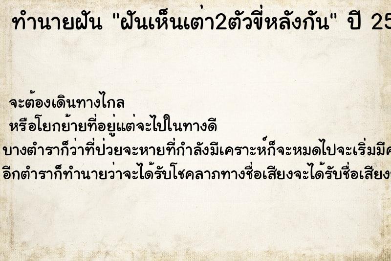 ทำนายฝันฝันเห็นเต่า2ตัวขี่หลังกัน ทำนายฝันทำนายฝันฝันเห็นเต่า2ตัวขี่หลังกัน