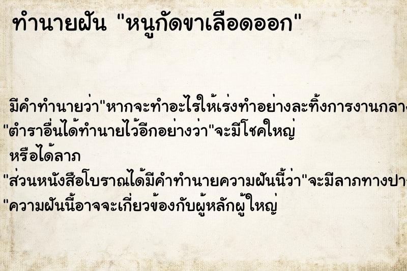ทำนายฝัน หนูกัดขาเลือดออก ทำนายฝัน หนูกัดขาเลือดออก