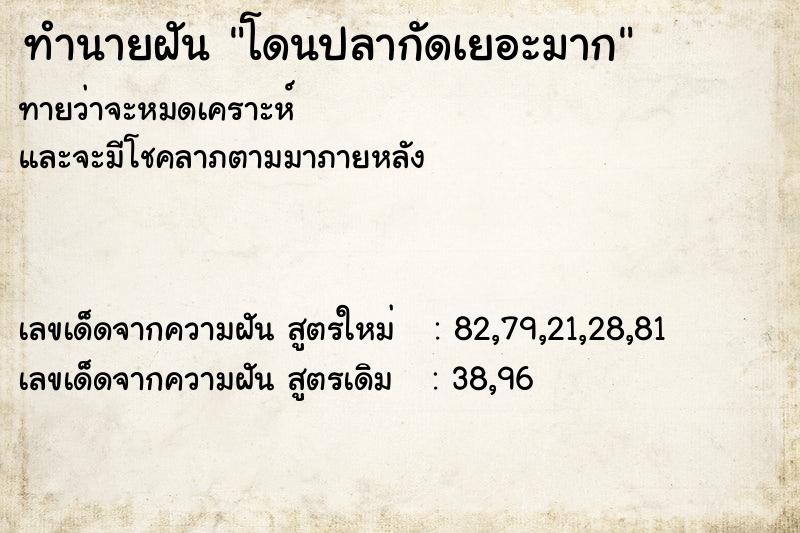 ทำนายฝันโดนปลากัดเยอะมาก ทำนายฝันทำนายฝันโดนปลากัดเยอะมาก
