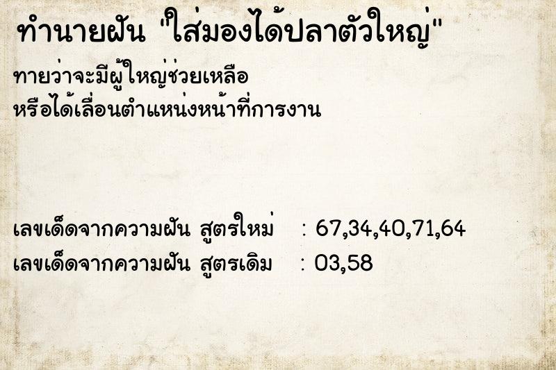 ทำนายฝันใส่มองได้ปลาตัวใหญ่ ทำนายฝันทำนายฝันใส่มองได้ปลาตัวใหญ่