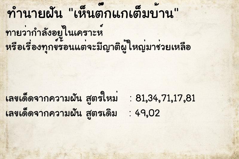 ทำนายฝันเห็นต๋๊กแกเต็มบ้าน ทำนายฝันทำนายฝันเห็นต๋๊กแกเต็มบ้าน