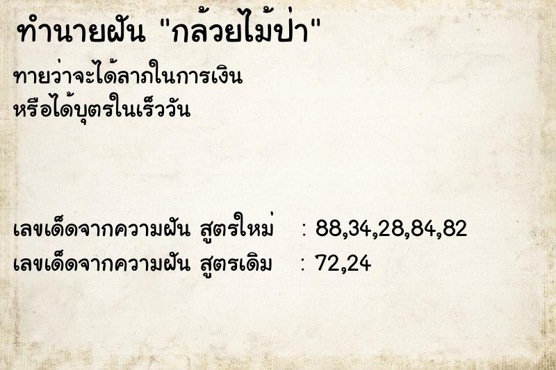 ทำนายฝัน กล้วยไม้ป่า ทำนายฝัน กล้วยไม้ป่า