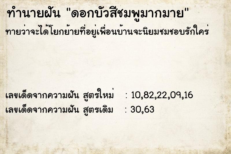 ทำนายฝันดอกบัวสีชมพูมากมาย ทำนายฝันทำนายฝันดอกบัวสีชมพูมากมาย