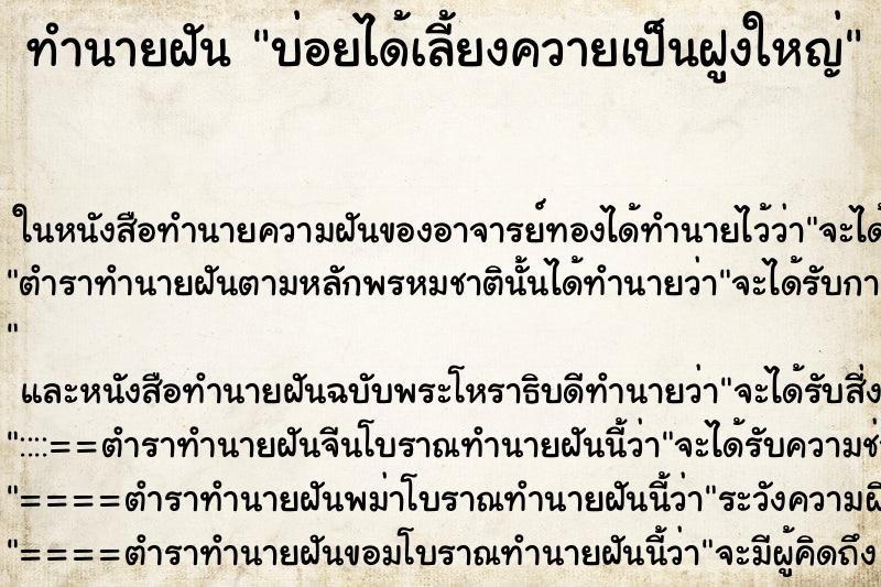 ทำนายฝันบ่อยได้เลี้ยงควายเป็นฝูงใหญ่ ทำนายฝันทำนายฝันบ่อยได้เลี้ยงควายเป็นฝูงใหญ่