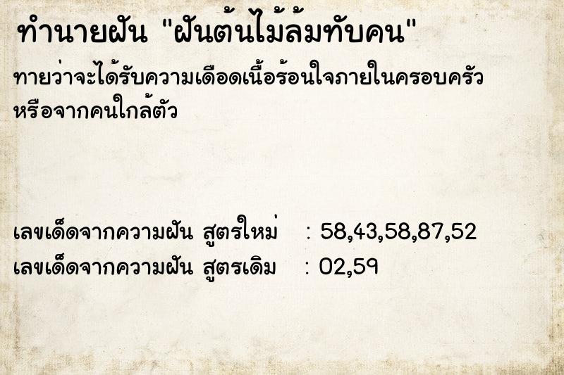 ทำนายฝันฝันต้นไม้ล้มทับคน ทำนายฝันทำนายฝันฝันต้นไม้ล้มทับคน