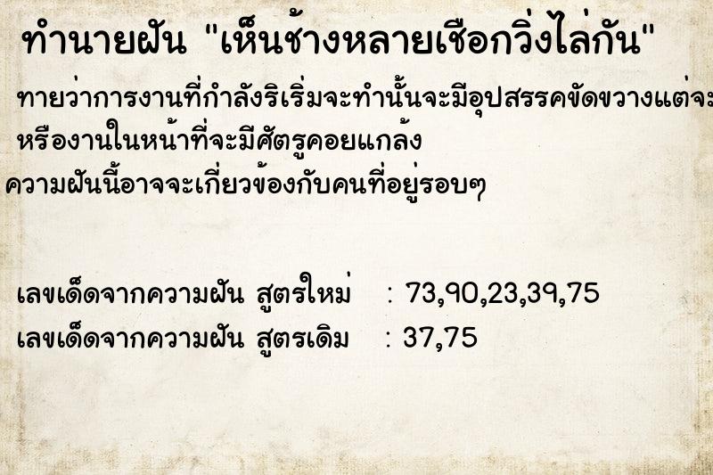 ทำนายฝันเห็นช้างหลายเชือกวิ่งไล่กัน ทำนายฝันทำนายฝันเห็นช้างหลายเชือกวิ่งไล่กัน