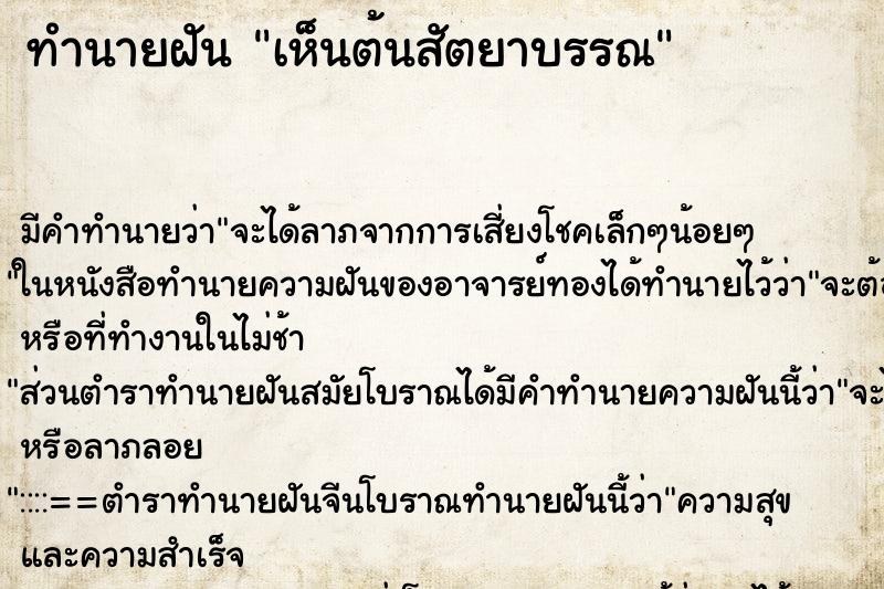 ทำนายฝันทำนายฝันเห็นต้นสัตยาบรรณ