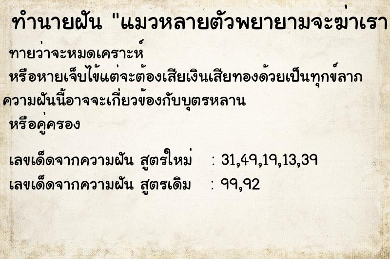 ทำนายฝันแมวหลายตัวพยายามจะฆ่าเรา ทำนายฝันทำนายฝันแมวหลายตัวพยายามจะฆ่าเรา