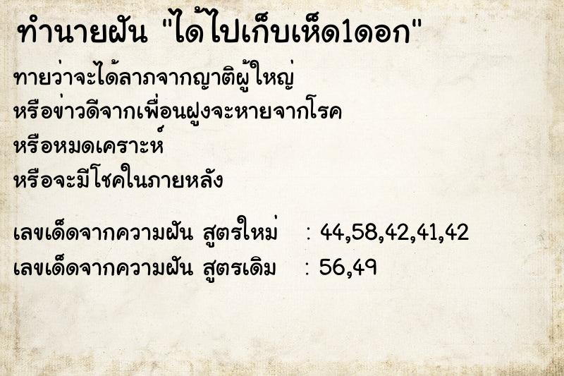 ทำนายฝันทำนายฝันได้ไปเก็บเห็ด1ดอก